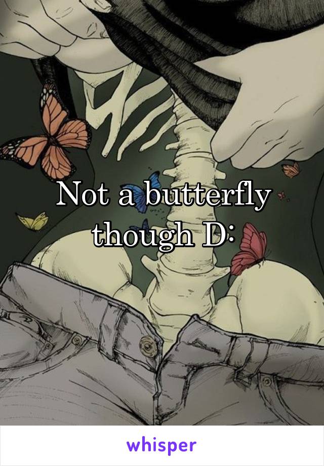 Not a butterfly though D:
