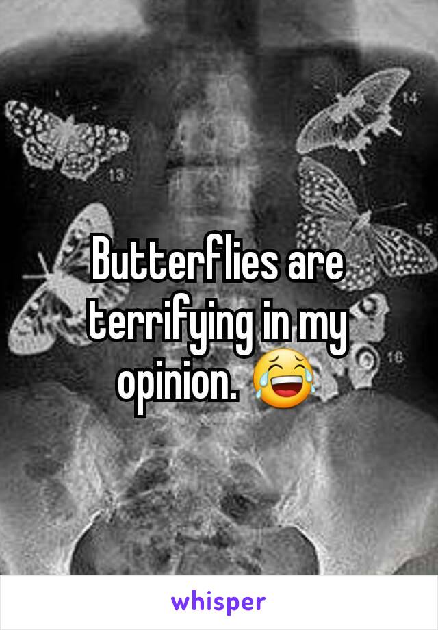 Butterflies are terrifying in my opinion. 😂