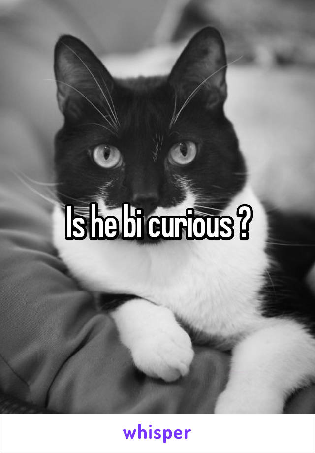 Is he bi curious ?