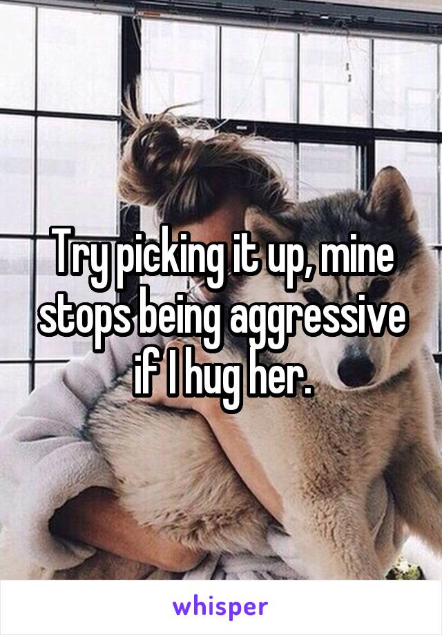 Try picking it up, mine stops being aggressive if I hug her.