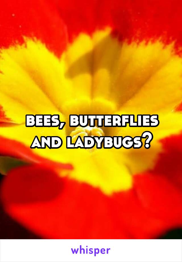 bees, butterflies and ladybugs?