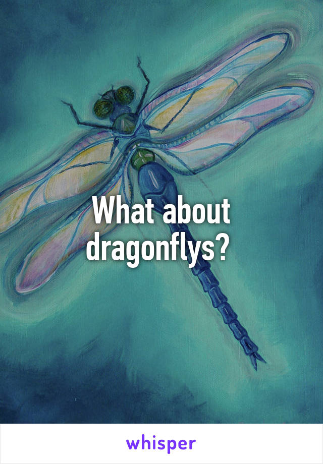 What about dragonflys? 