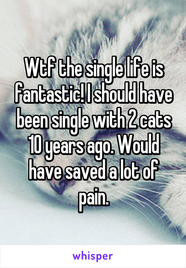 Wtf the single life is fantastic! I should have been single with 2 cats 10 years ago. Would have saved a lot of pain.