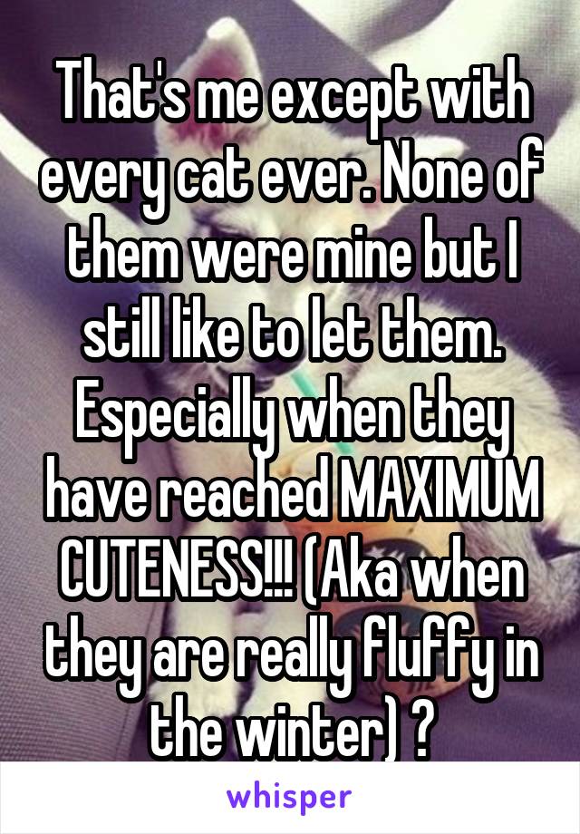 That's me except with every cat ever. None of them were mine but I still like to let them. Especially when they have reached MAXIMUM CUTENESS!!! (Aka when they are really fluffy in the winter) 😂