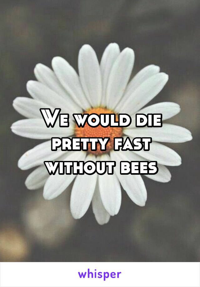 We would die pretty fast without bees