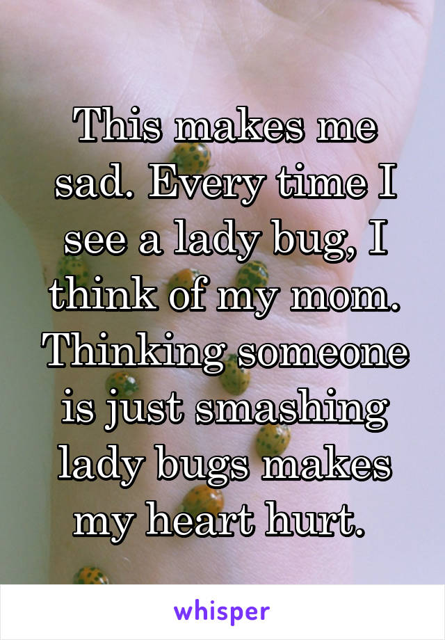 This makes me sad. Every time I see a lady bug, I think of my mom. Thinking someone is just smashing lady bugs makes my heart hurt. 