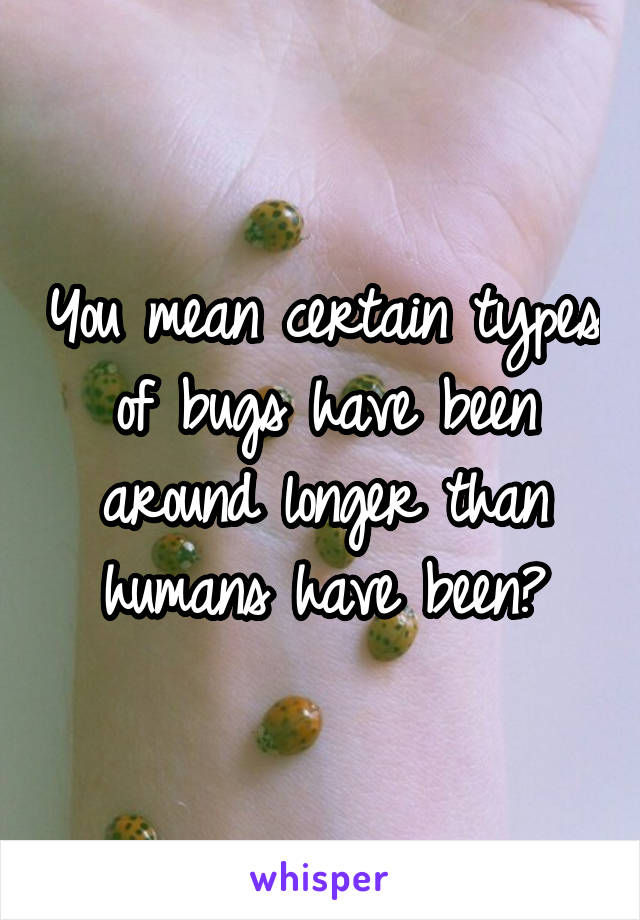 You mean certain types of bugs have been around longer than humans have been?