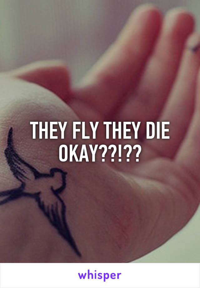 THEY FLY THEY DIE OKAY??!??