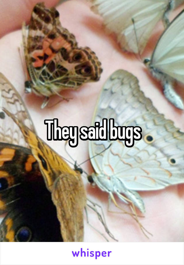 They said bugs