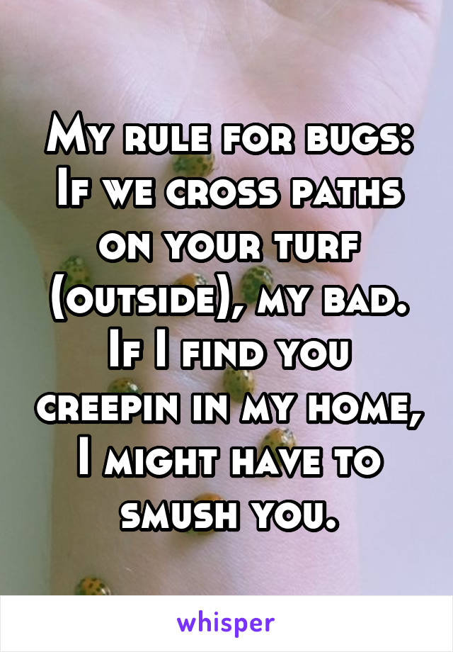 My rule for bugs:
If we cross paths on your turf (outside), my bad.
If I find you creepin in my home, I might have to smush you.