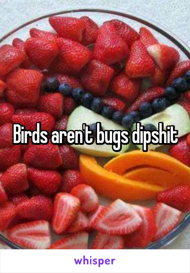 Birds aren't bugs dipshit