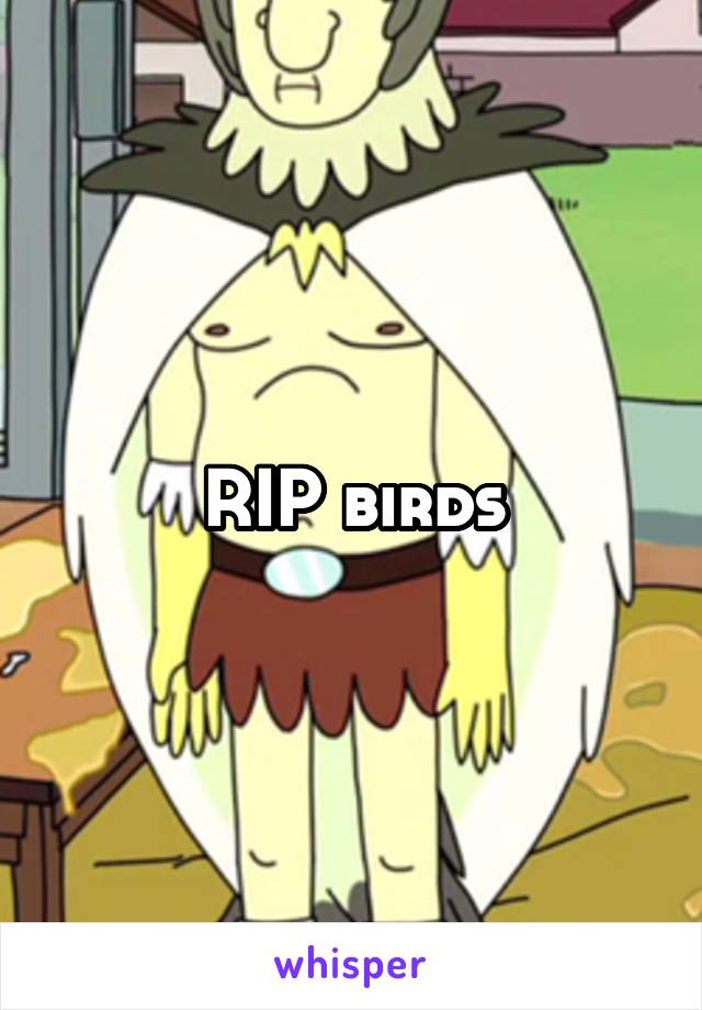 RIP birds