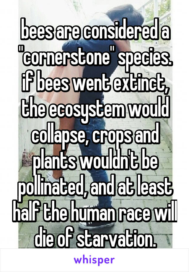 bees are considered a "cornerstone" species. if bees went extinct, the ecosystem would collapse, crops and plants wouldn't be pollinated, and at least half the human race will die of starvation.
