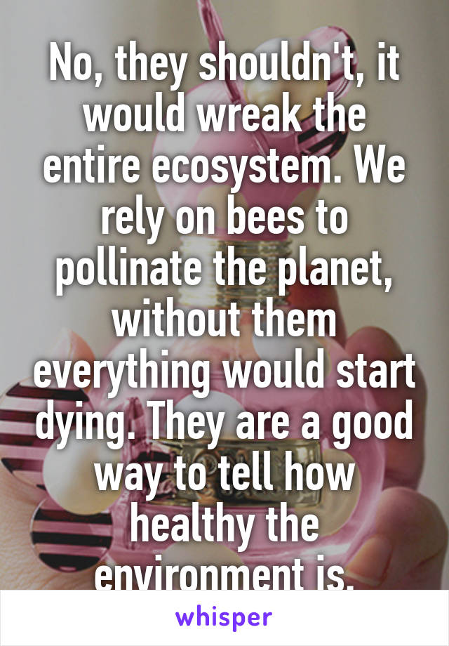 No, they shouldn't, it would wreak the entire ecosystem. We rely on bees to pollinate the planet, without them everything would start dying. They are a good way to tell how healthy the environment is.