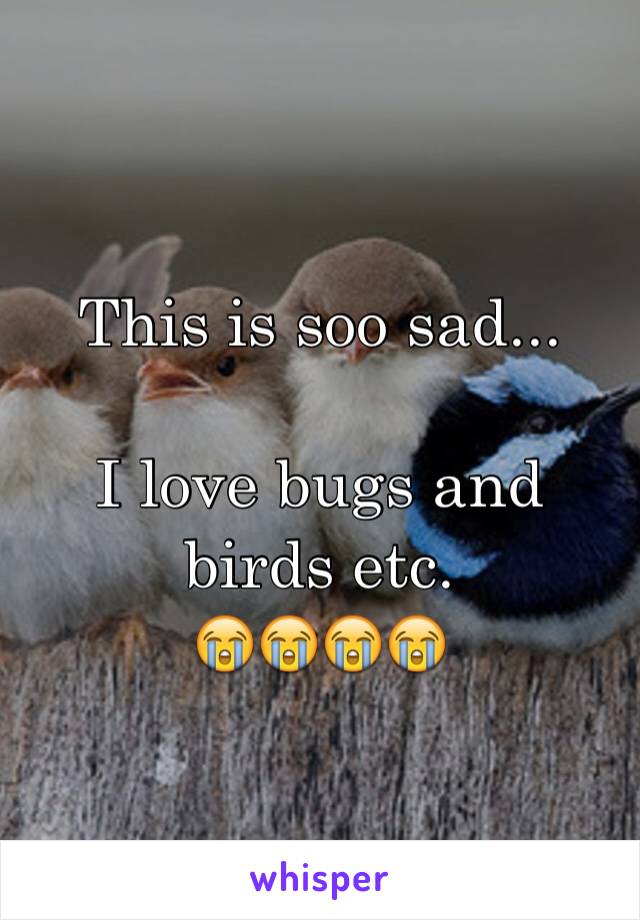 This is soo sad...

I love bugs and birds etc.
😭😭😭😭