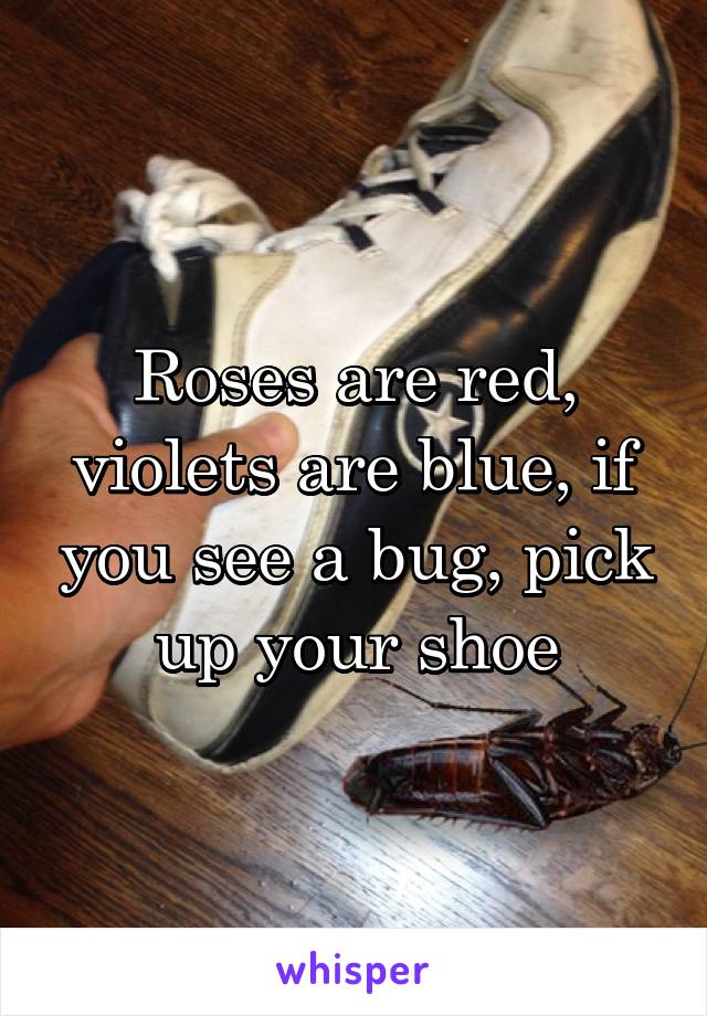 Roses are red, violets are blue, if you see a bug, pick up your shoe