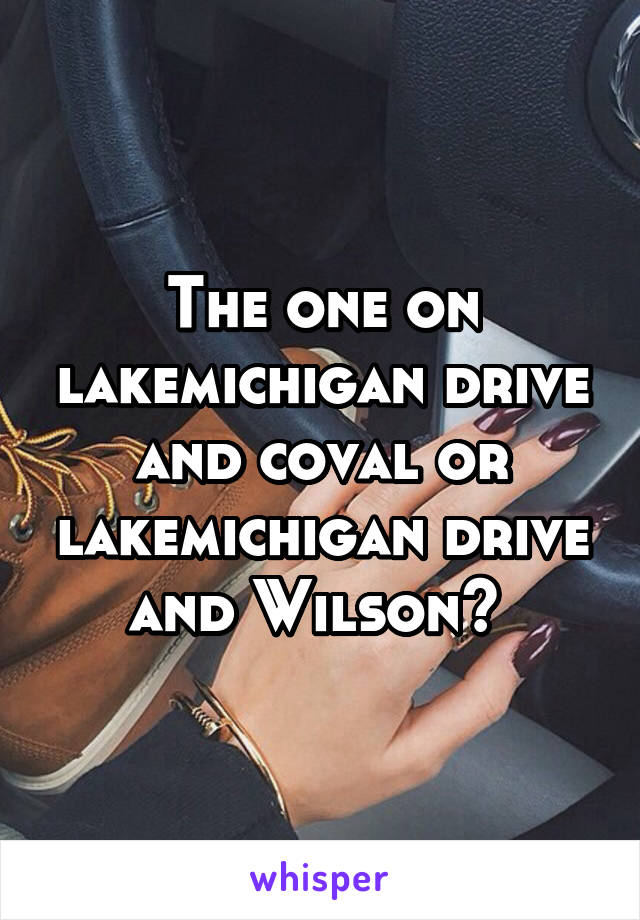 The one on lakemichigan drive and coval or lakemichigan drive and Wilson? 