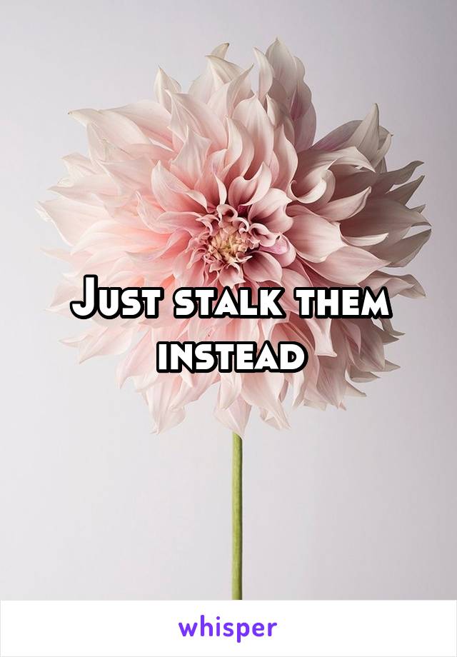 Just stalk them instead