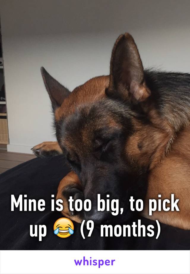 Mine is too big, to pick up 😂 (9 months)