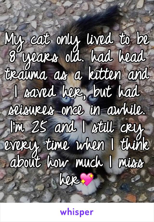 My cat only lived to be 8 years old. had head trauma as a kitten and I saved her, but had seisures once in awhile. I'm 25 and I still cry every time when I think about how much I miss her💖