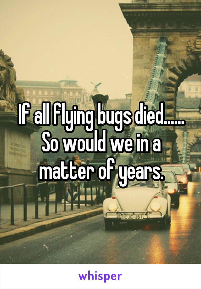 If all flying bugs died...... So would we in a matter of years.