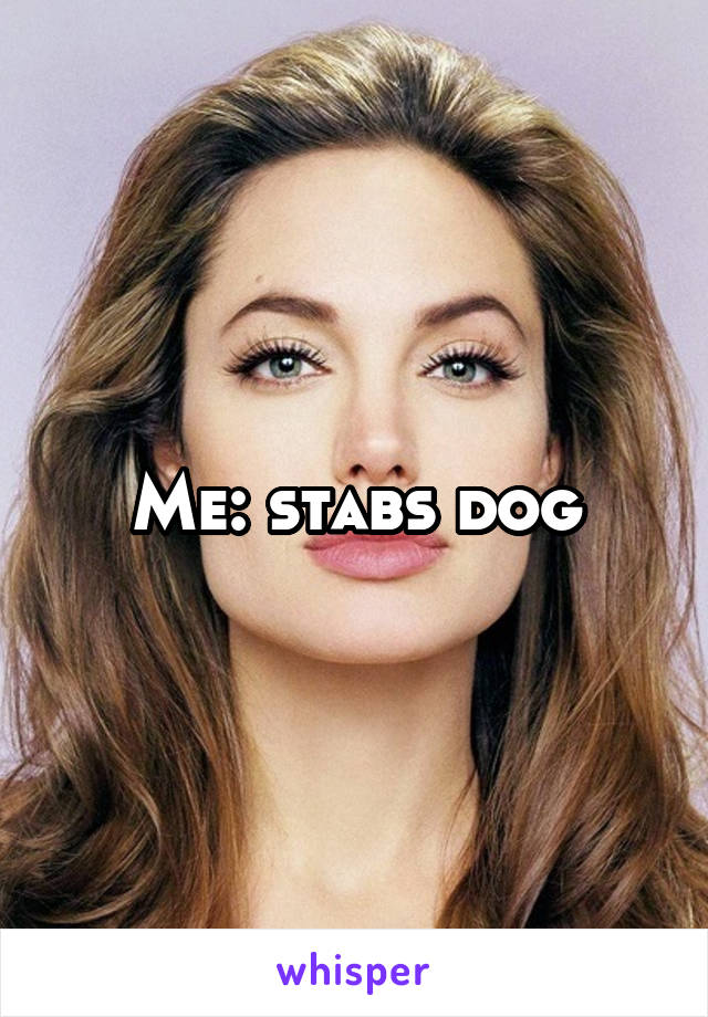Me: stabs dog