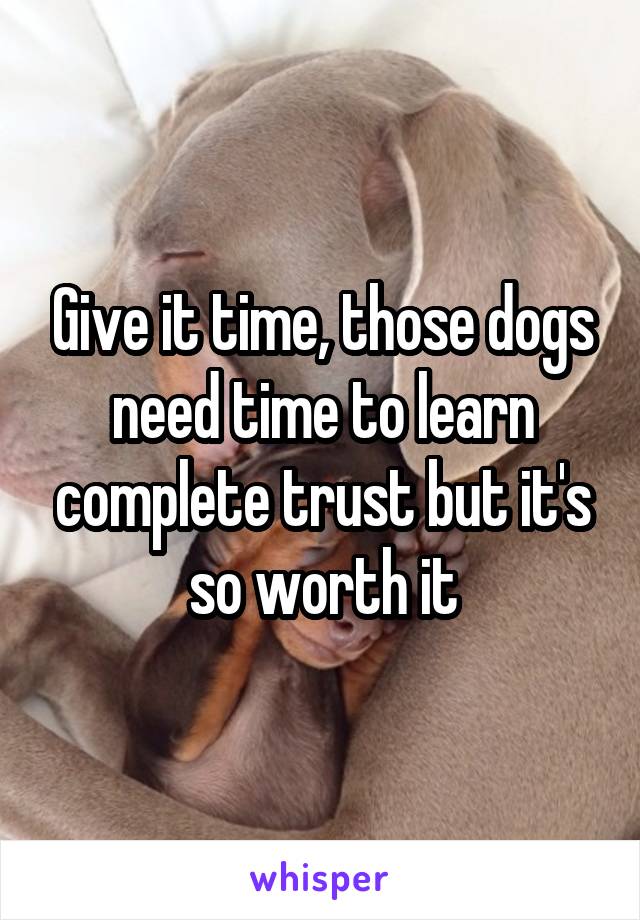 Give it time, those dogs need time to learn complete trust but it's so worth it