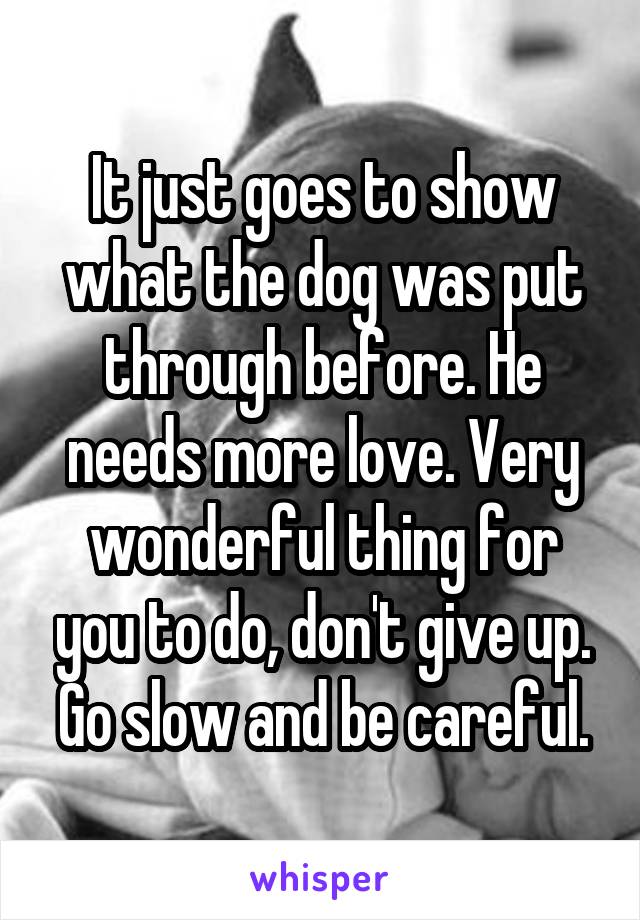 It just goes to show what the dog was put through before. He needs more love. Very wonderful thing for you to do, don't give up. Go slow and be careful.