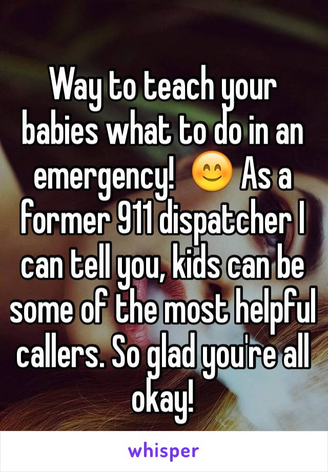 Way to teach your babies what to do in an emergency!  😊 As a former 911 dispatcher I can tell you, kids can be some of the most helpful callers. So glad you're all okay!