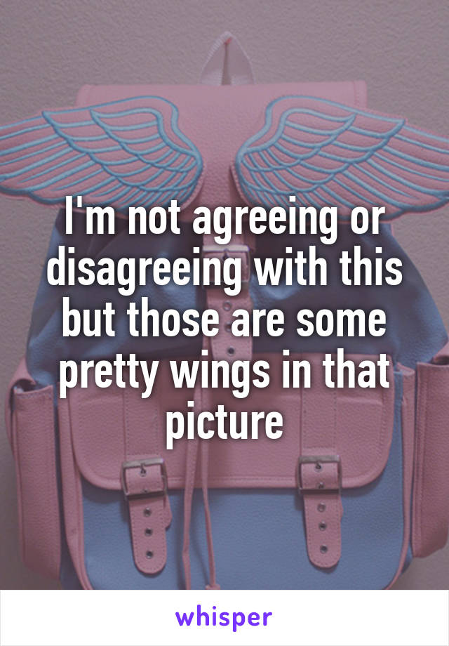 I'm not agreeing or disagreeing with this but those are some pretty wings in that picture