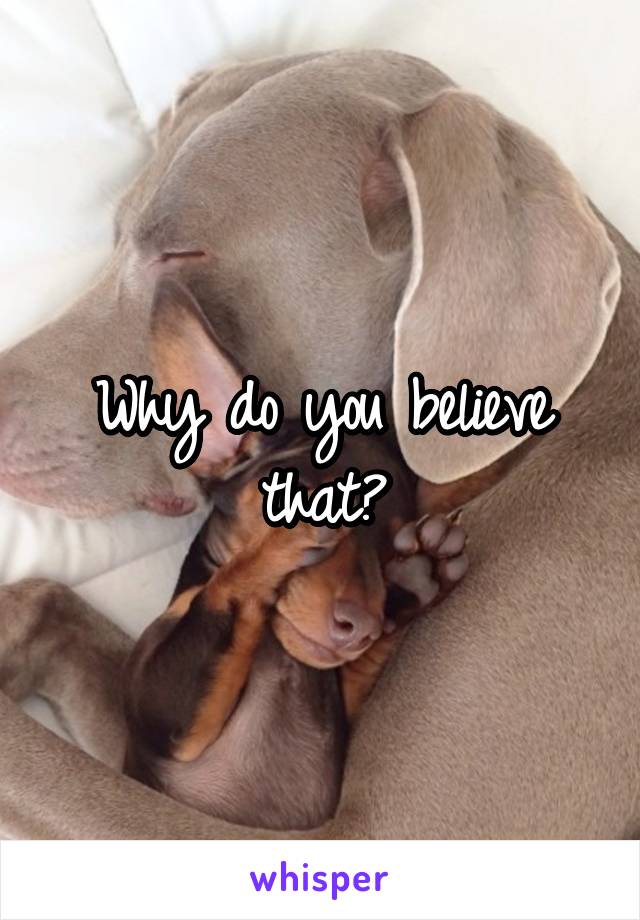 Why do you believe that?