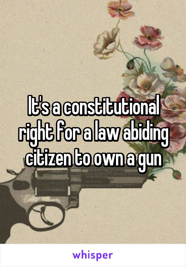 It's a constitutional right for a law abiding citizen to own a gun