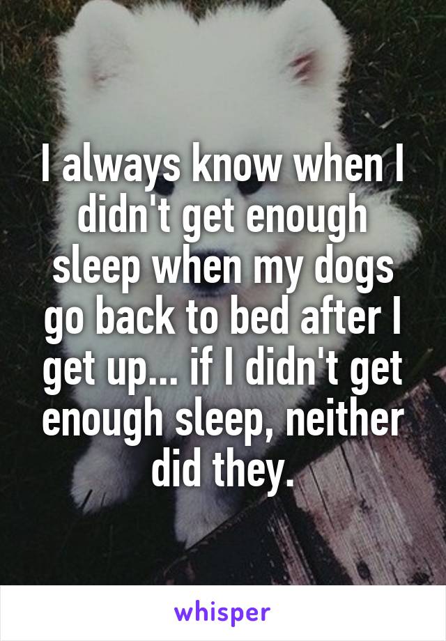 I always know when I didn't get enough sleep when my dogs go back to bed after I get up... if I didn't get enough sleep, neither did they.