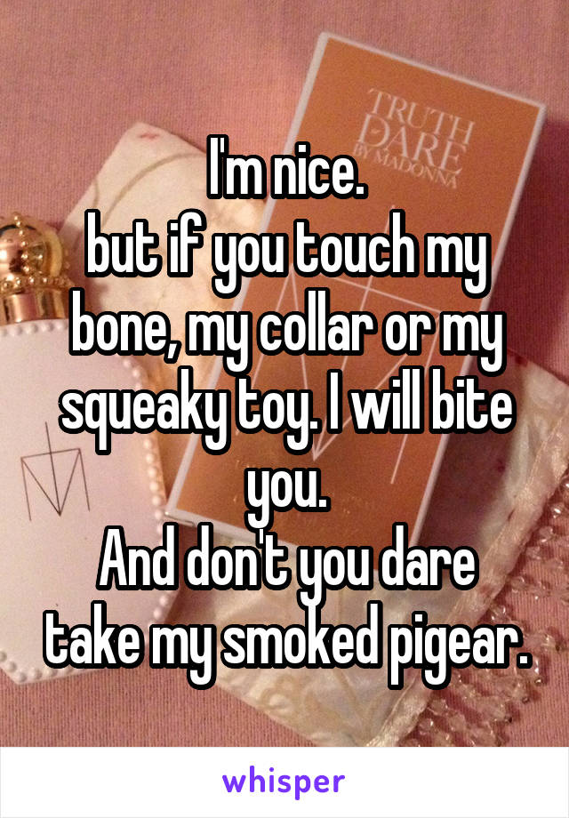 I'm nice.
but if you touch my bone, my collar or my squeaky toy. I will bite you.
And don't you dare take my smoked pigear.