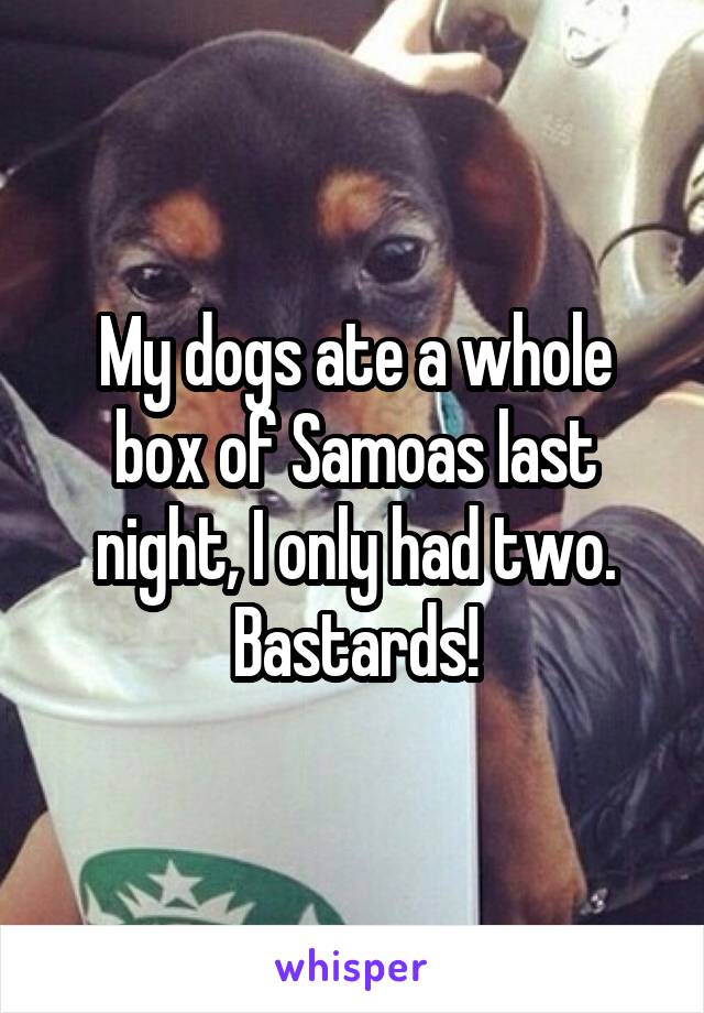 My dogs ate a whole box of Samoas last night, I only had two. Bastards!