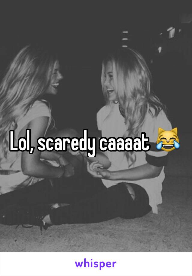 Lol, scaredy caaaat 😹