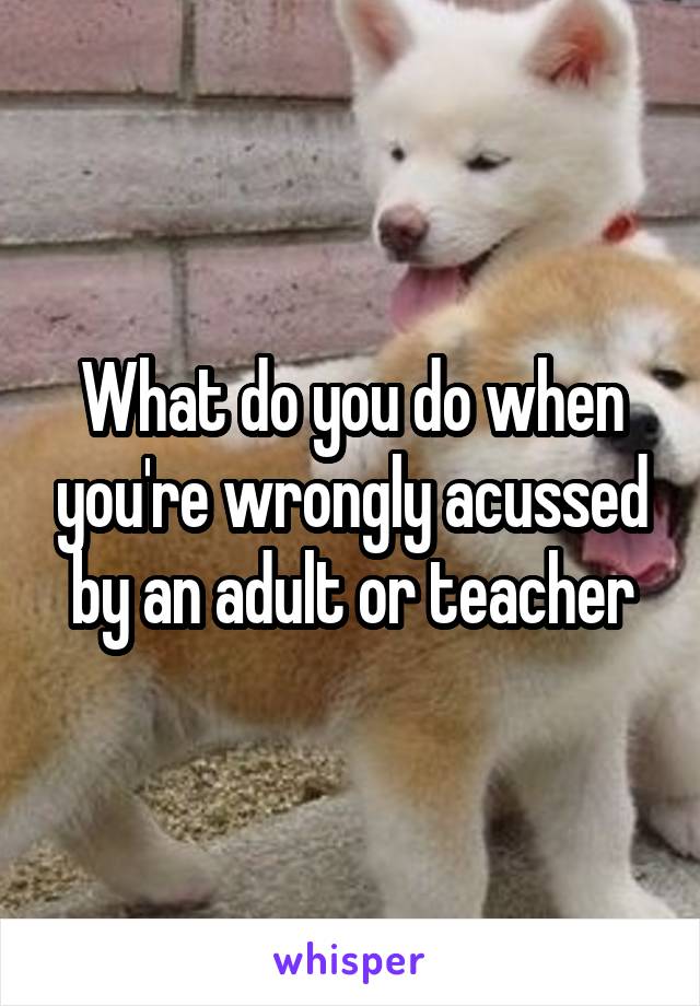 What do you do when you're wrongly acussed by an adult or teacher