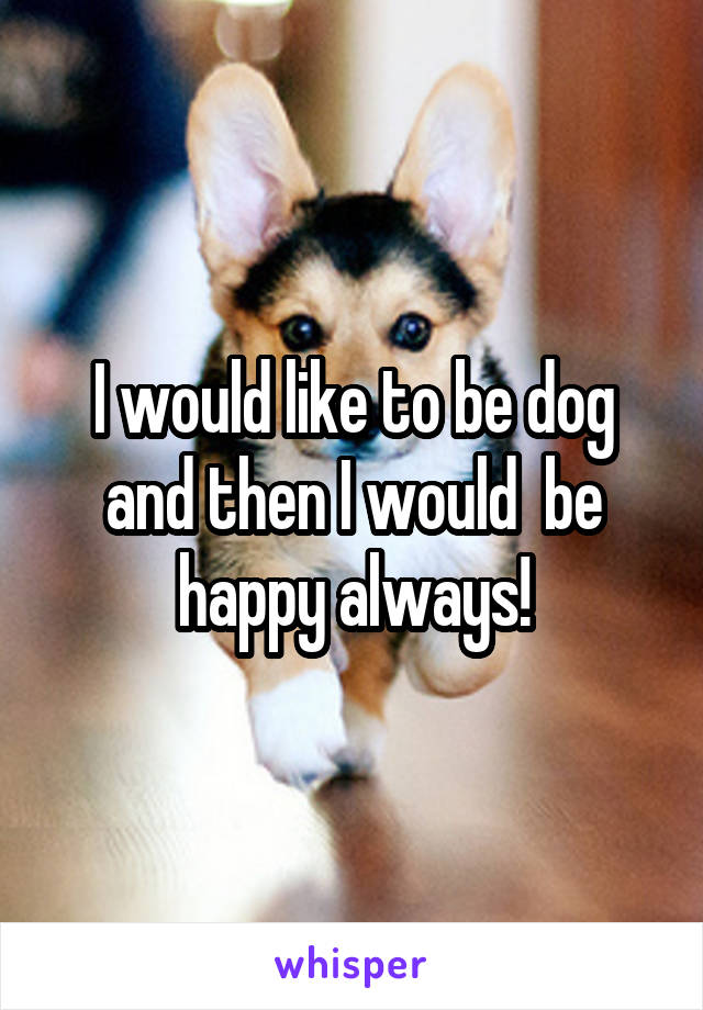 I would like to be dog and then I would  be happy always!