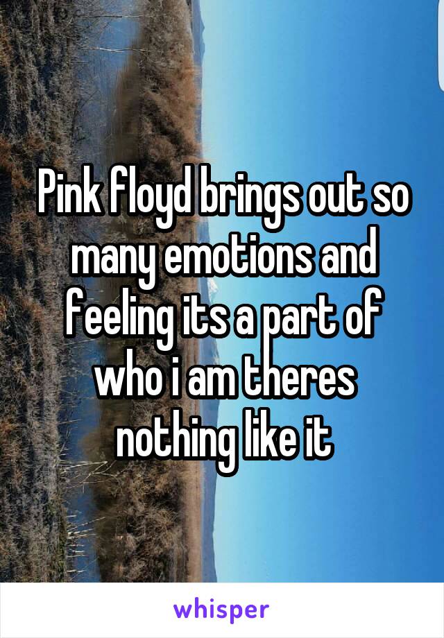 Pink floyd brings out so many emotions and feeling its a part of who i am theres nothing like it