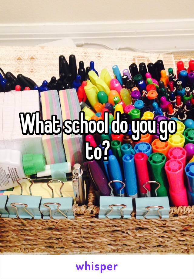 What school do you go to?