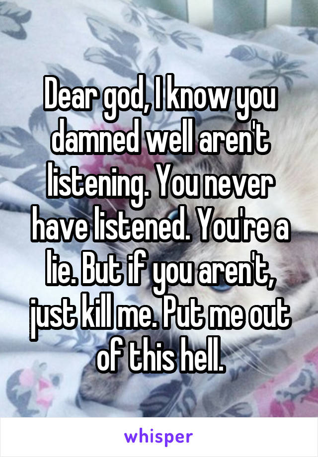 Dear god, I know you damned well aren't listening. You never have listened. You're a lie. But if you aren't, just kill me. Put me out of this hell.