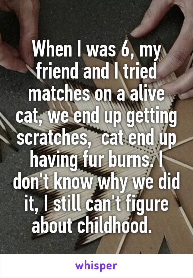 When I was 6, my friend and I tried matches on a alive cat, we end up getting scratches,  cat end up having fur burns. I don't know why we did it, I still can't figure about childhood.  