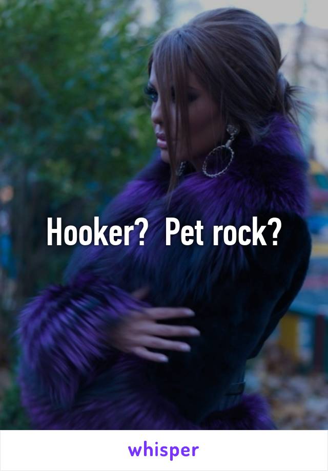 Hooker?  Pet rock?