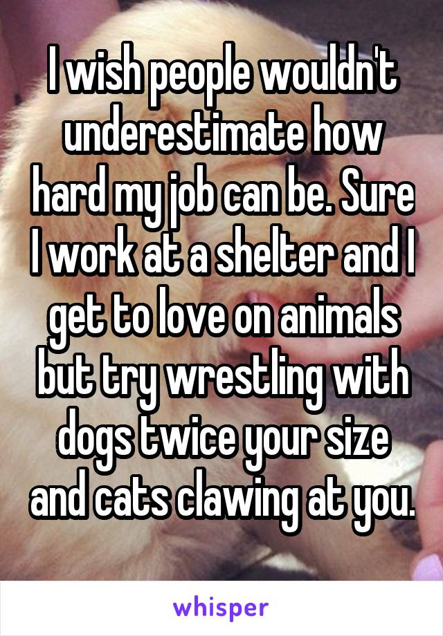 I wish people wouldn't underestimate how hard my job can be. Sure I work at a shelter and I get to love on animals but try wrestling with dogs twice your size and cats clawing at you. 