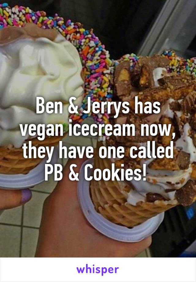 Ben & Jerrys has vegan icecream now, they have one called PB & Cookies! 