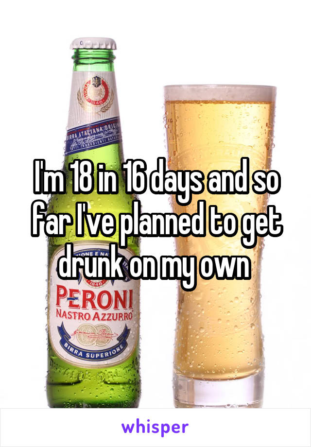 I'm 18 in 16 days and so far I've planned to get drunk on my own 