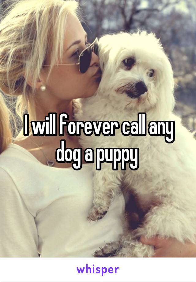 I will forever call any dog a puppy 