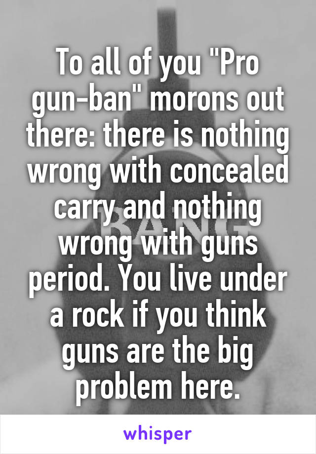 To all of you "Pro gun-ban" morons out there: there is nothing wrong with concealed carry and nothing wrong with guns period. You live under a rock if you think guns are the big problem here.