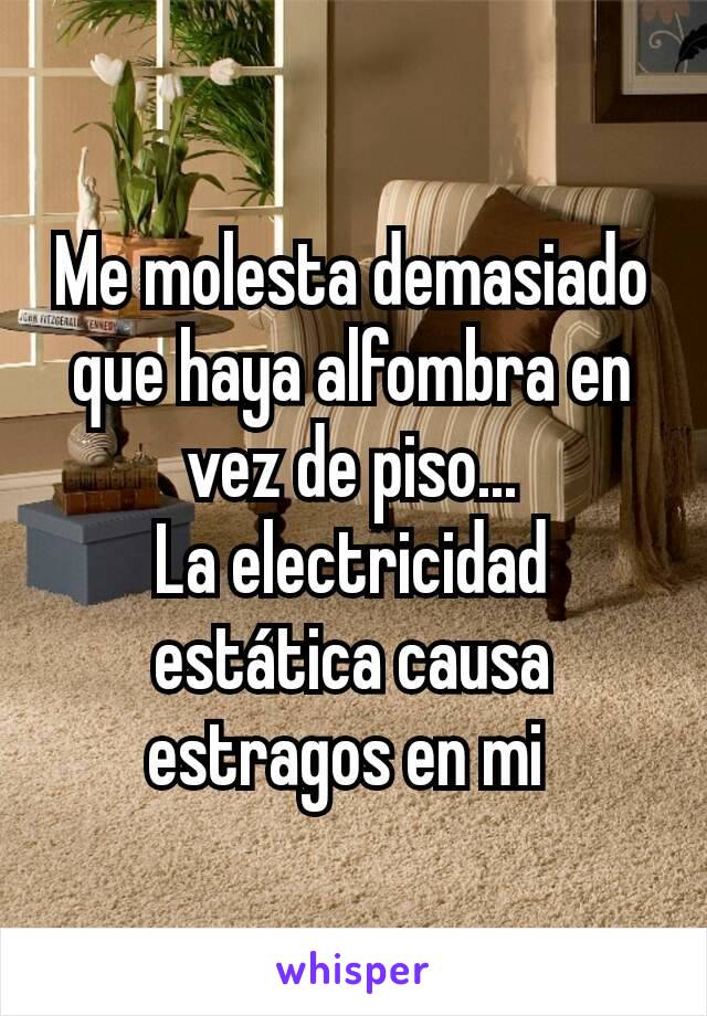 Me molesta demasiado que haya alfombra en vez de piso...
La electricidad estática causa estragos en mi 