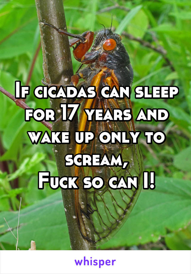 If cicadas can sleep for 17 years and wake up only to scream,
Fuck so can I!